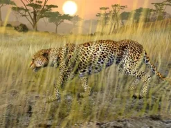 Online Cabela's African Safari Ps2 Games