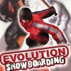 Best Evolution Snowboarding Ps2 Games